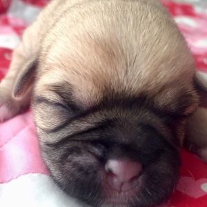 Meet your Posher, Adriana